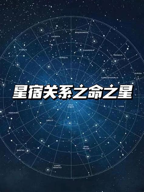 命之星查詢